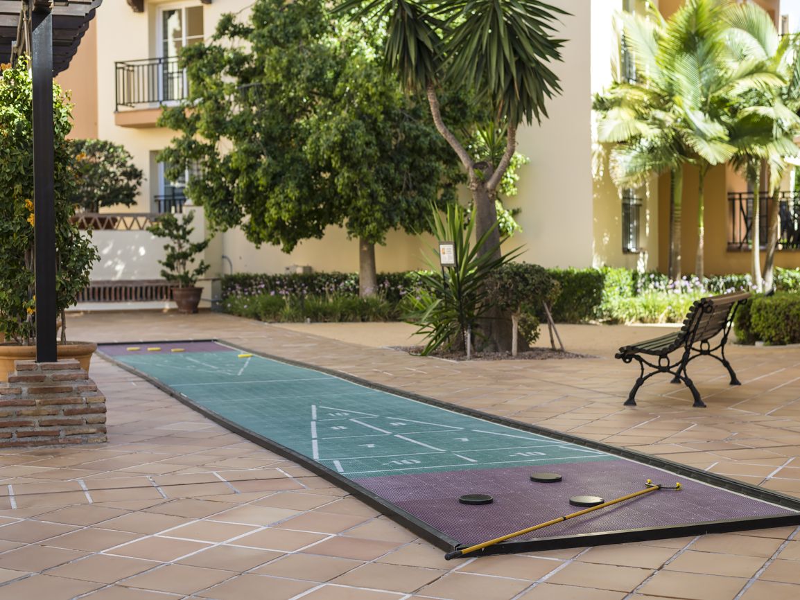 Shuffleboard